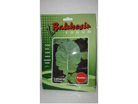 Balıkesir Tohum Karden Kara Lahana Tohumu 10 Gr